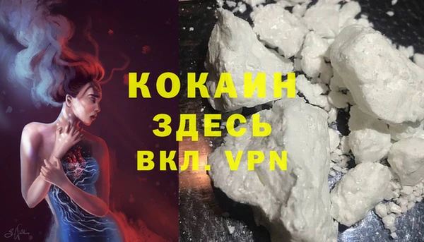 мдпв Богданович