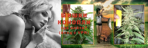 ПСИЛОЦИБИНОВЫЕ ГРИБЫ Бугульма