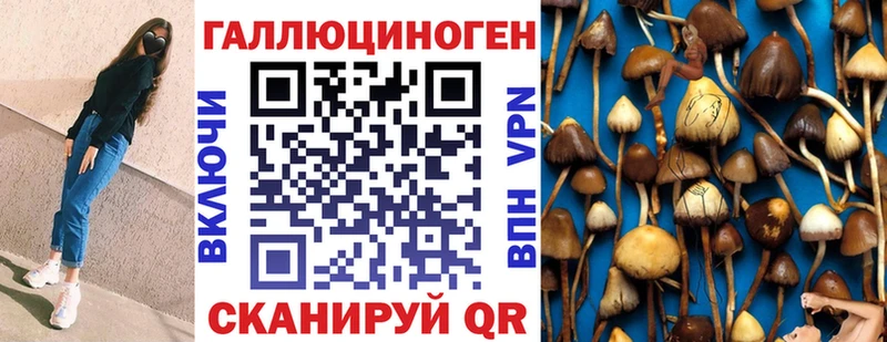Галлюциногенные грибы Cubensis  мега ссылка  Яранск 